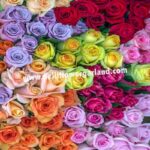 Loose Flowers